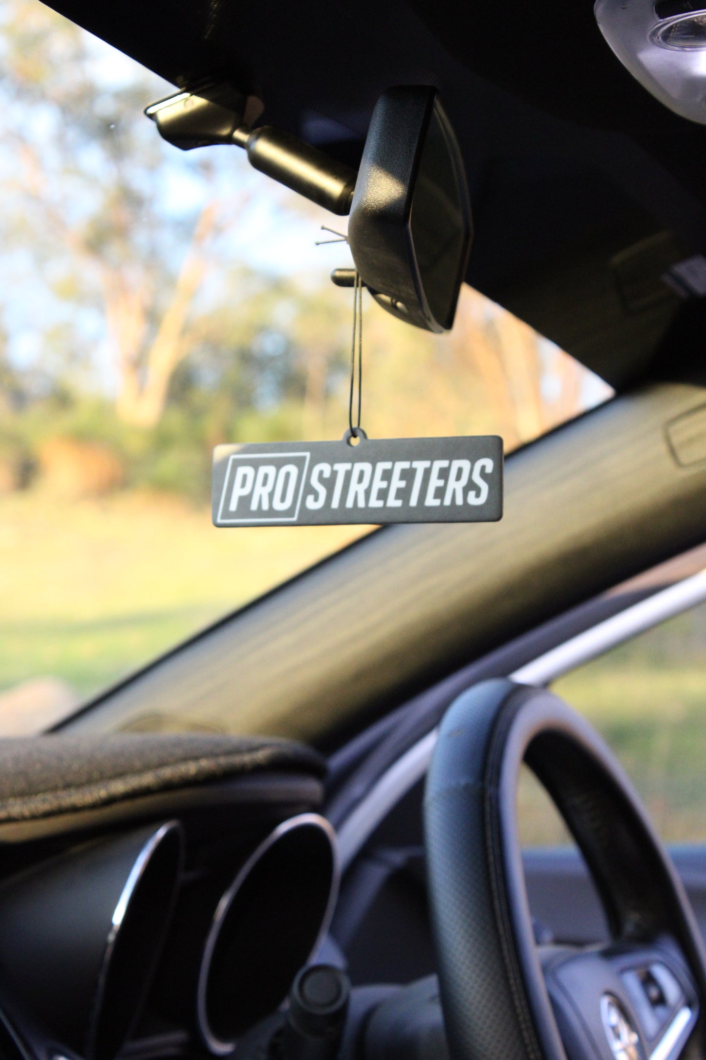 LOGO Air Freshener