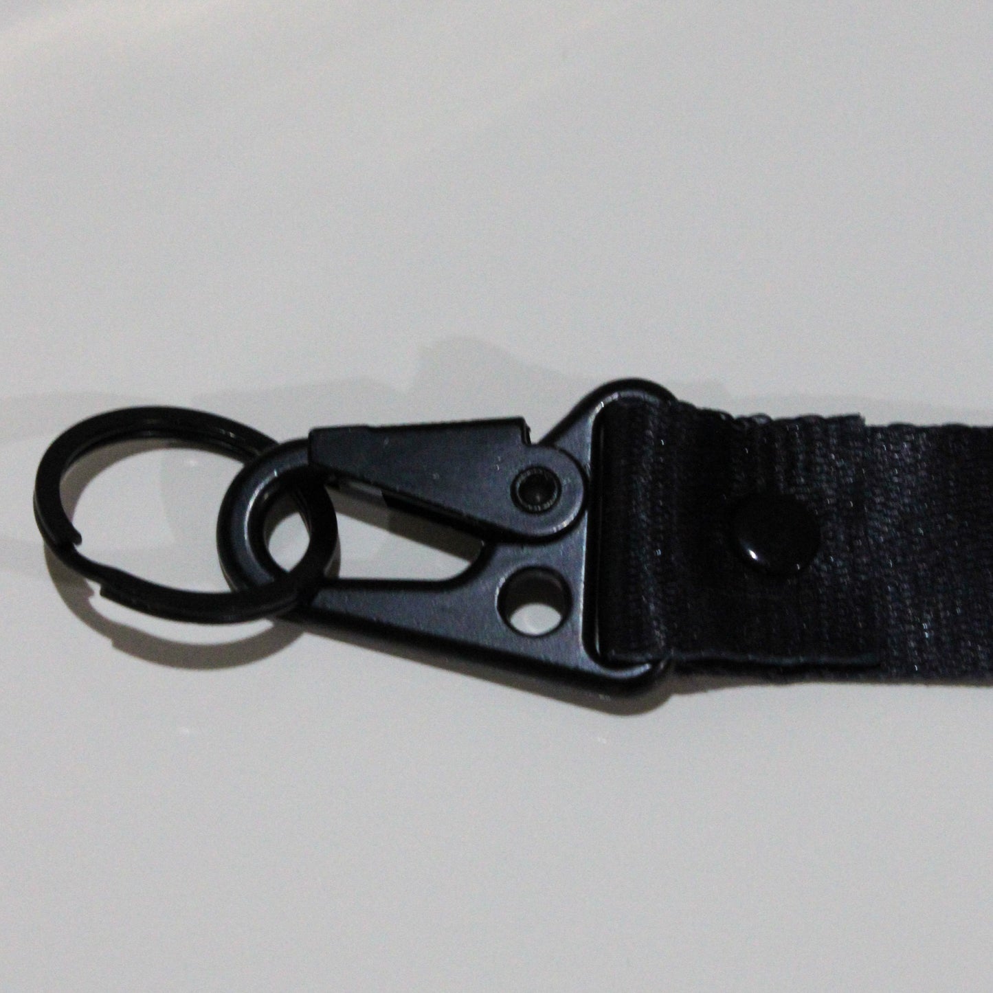 LOGO Carabiner Keychain
